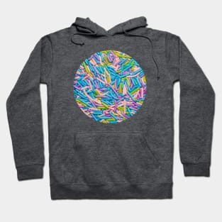 Pastel Candy Sprinkles Circle Photograph Hoodie